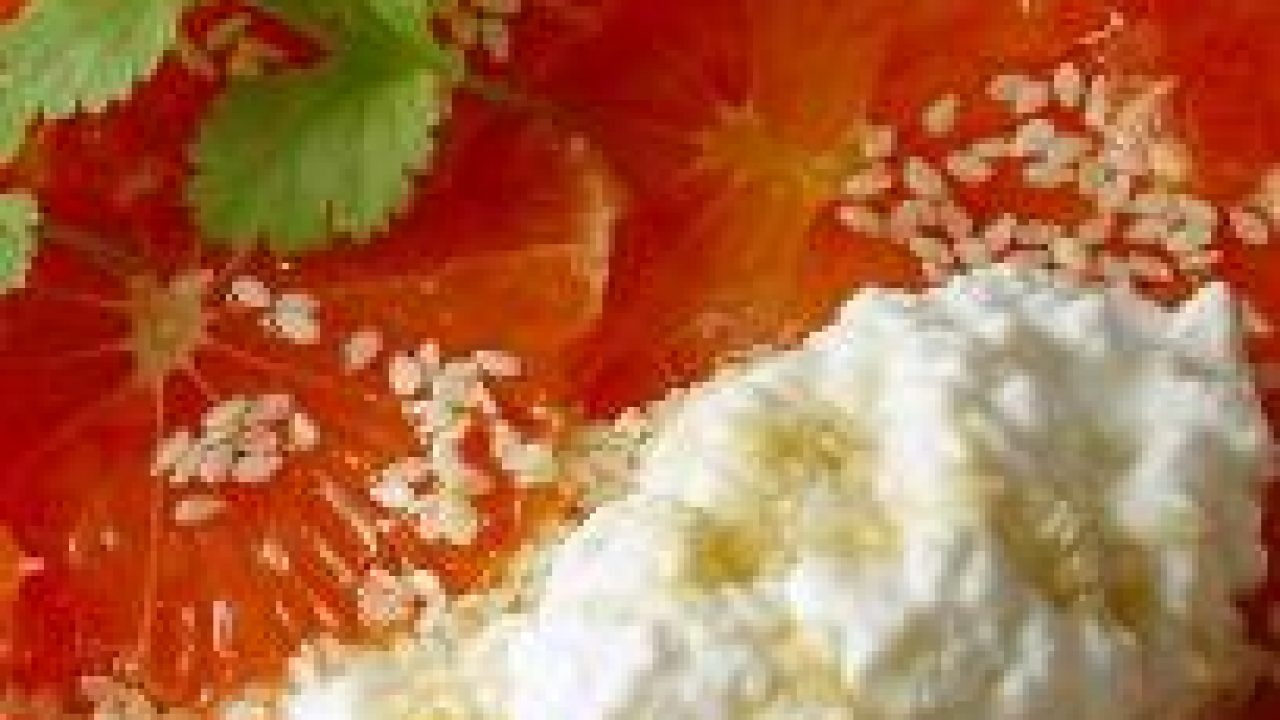 Pink Grapefruit With Cottage Cheese And Honey Recipe Diet Plan 101