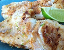 Grilled Coriander Grouper Fillets (Dukan Diet PV Consolidation Recipe)