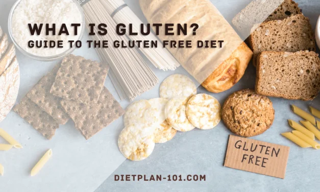 What is Gluten? Guide to the Gluten Free Diet