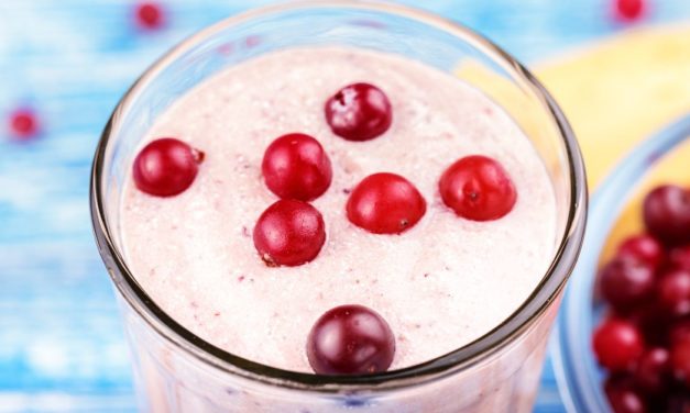 Delicious Low Carb Cranberry Soy Milk Smoothie (Atkins Diet Phase 2 Recipe)