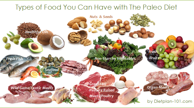 Foods in The Paleo Diet