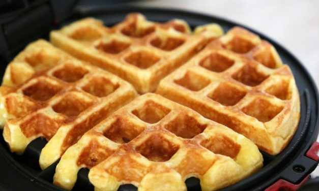 Guilt free Vanilla Soy Waffles (Atkins Diet Phase 2 Recipe)