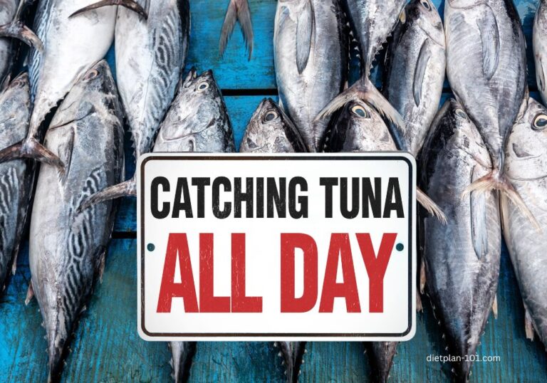 Truth About Tuna Canned Tuna vs. Fresh Tuna Which is Better