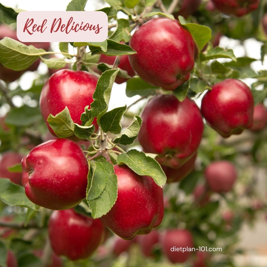 What Is The Sweetest Apple? The Top 10 Sweetest Apple Varieties