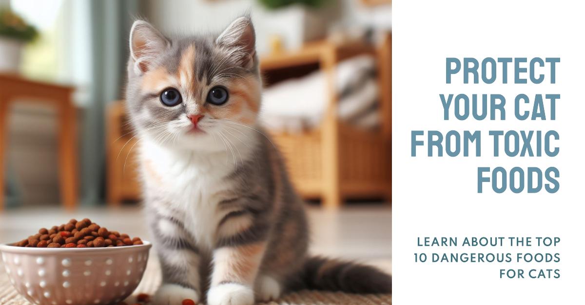 Top 10 Toxic Foods for Cats: Keep Your Feline Safe